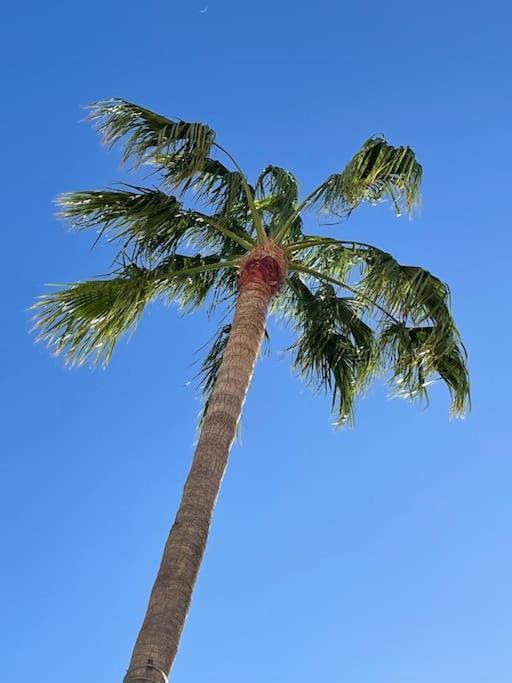 Palm Villa 1 Bed Apartment Overlooking Golf Course サンミゲル・デ・アボナ エクステリア 写真